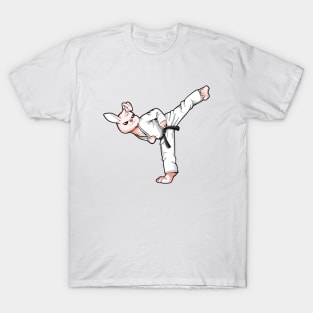 Cartoon Hase doing Hapkido T-Shirt